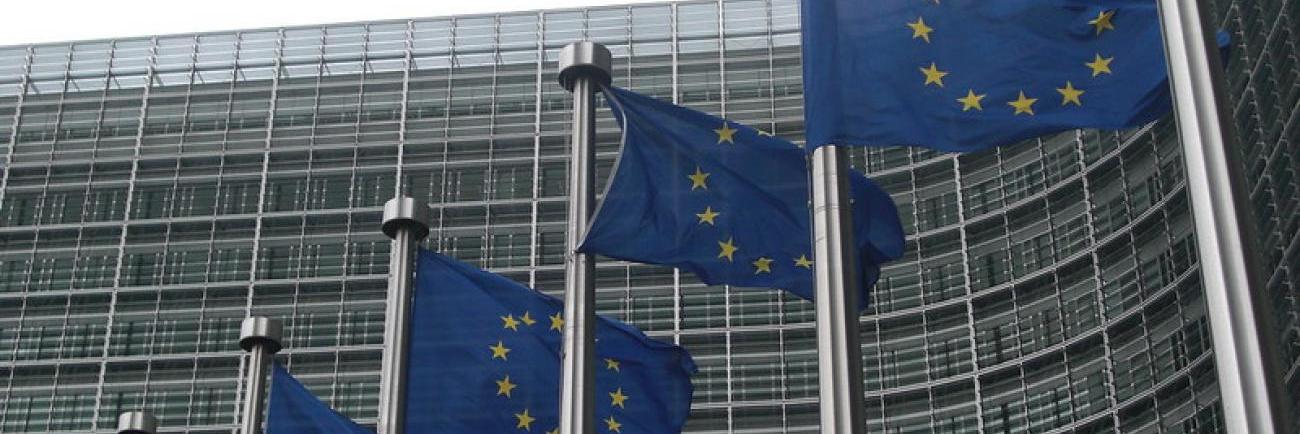 EU:n lippuja liehumassa rivissä europarlamentin edustalla.