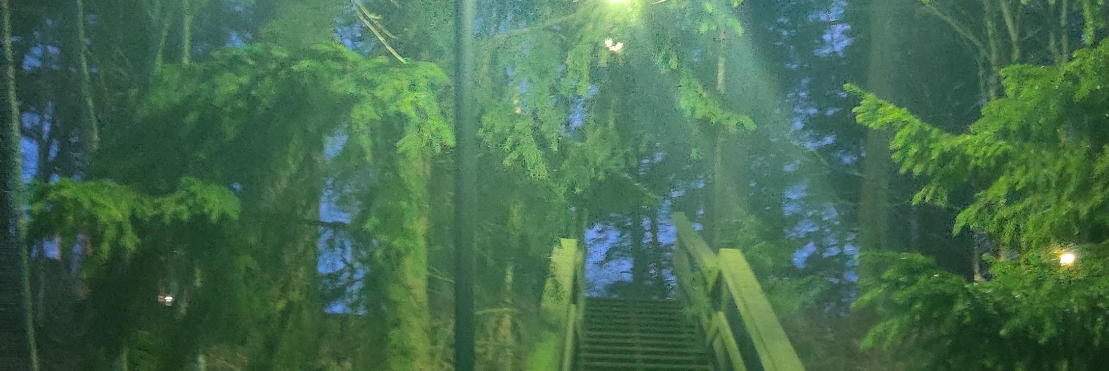 Sammaloitunut portaikko himmeässä vihertävässä iltavalaistuksessa Lapinjärven siviilipalveluskeskuksen lähistöllä.