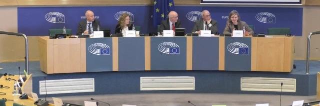 Jäsenet istuvat ja keskustelevat EU:n parlamentin ihmisoikeuksien alivaliokunnassa