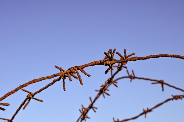 Barbed wire fence against a blue sky.